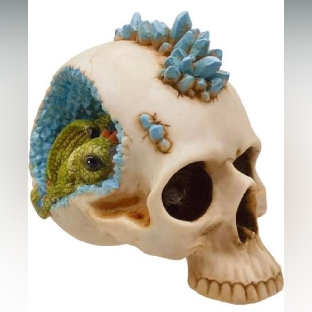 Skull decor